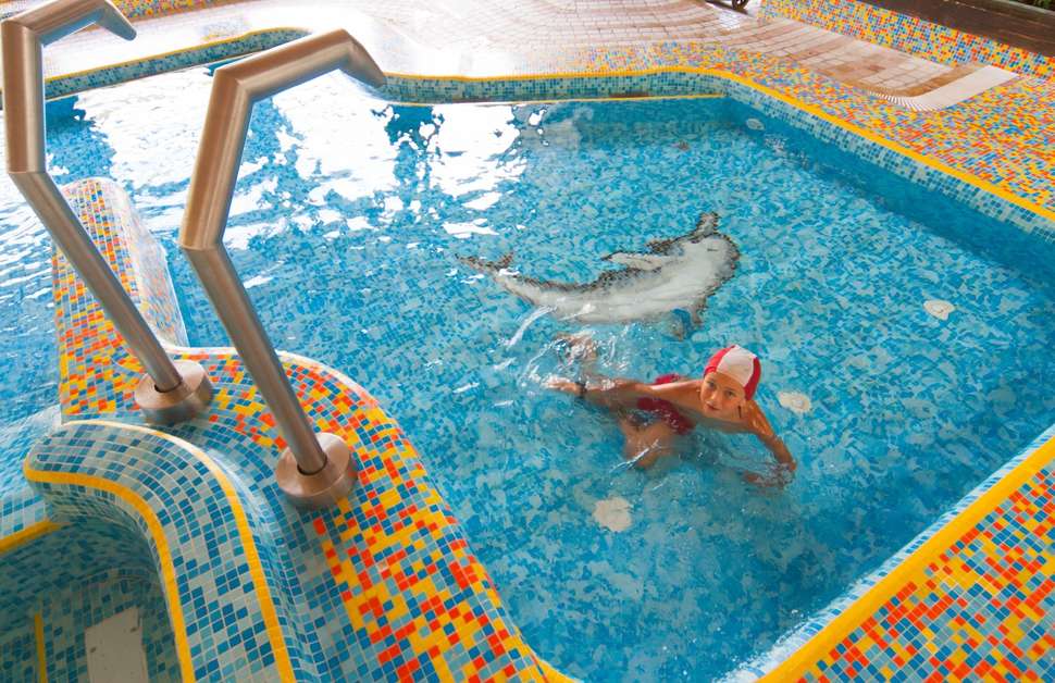 Een foto van Hotel Villa Emilia