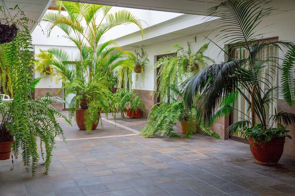 Een foto van Hotel Marquesa