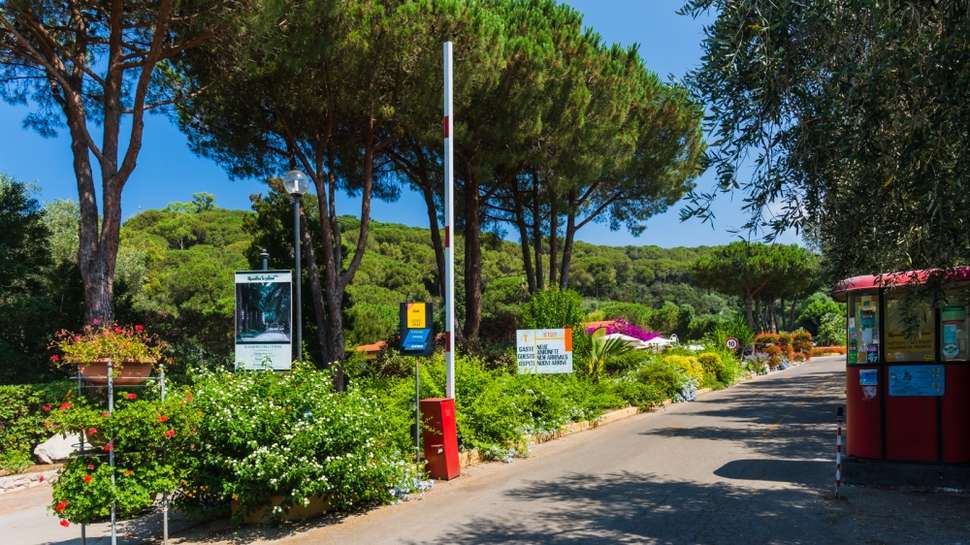 Een foto van Camping Rosselba Le Palme