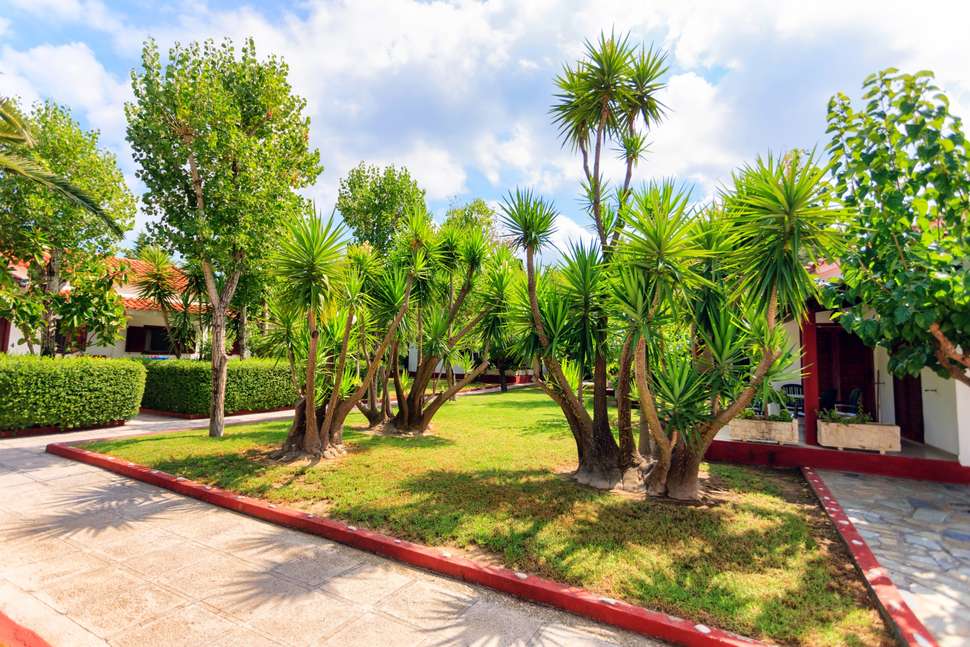 Een foto van het terras bij Alykes Park