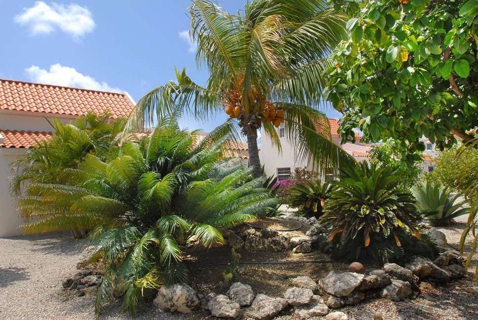 Een foto van Hamlet Oasis Resort Bonaire