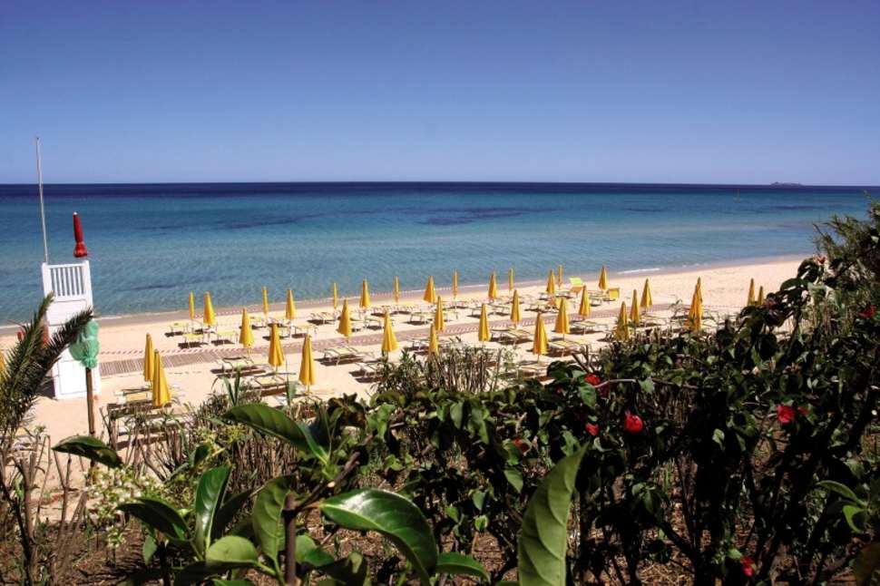 Een foto van Free Beach Club