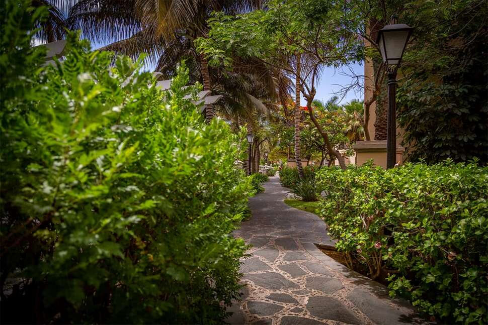 Een foto van het terras bij Palm Oasis Maspalomas
