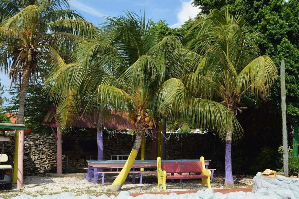 Ein Foto Rancho el Sobrino & Blue View Apartments
