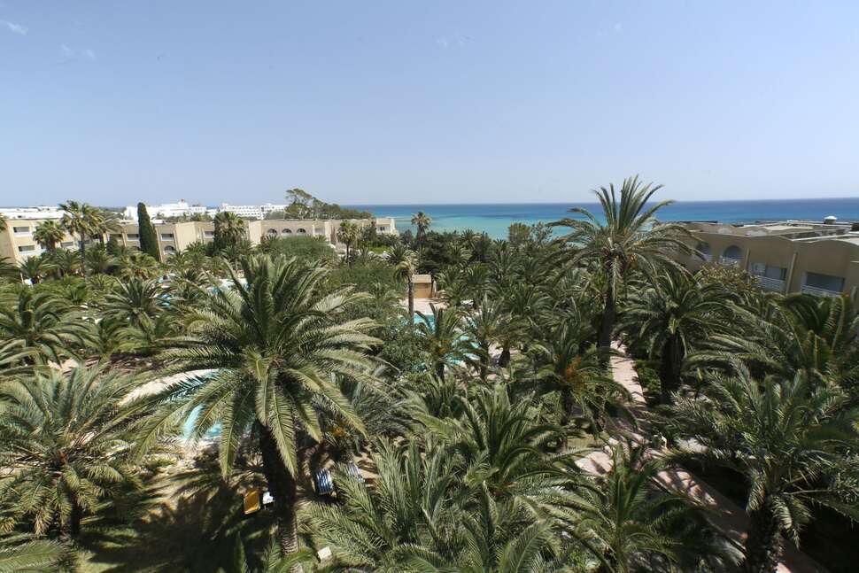Een foto van Hotel Mediterranee