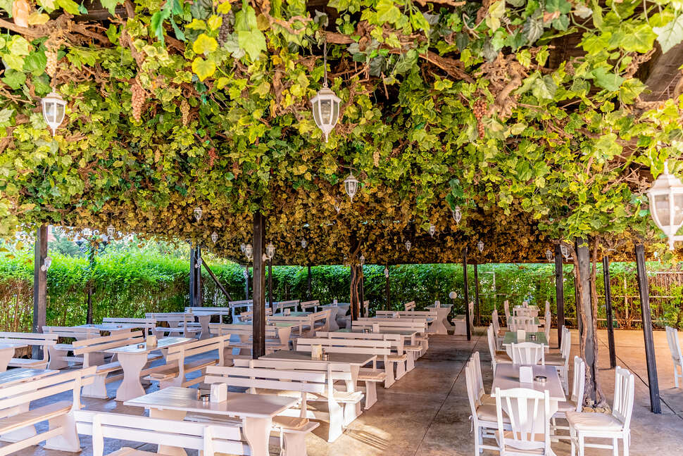 Een foto van Hotel Izola Paradise