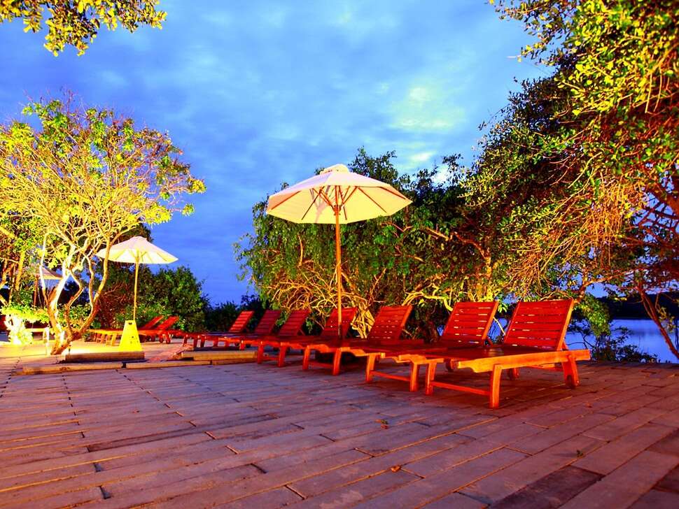 Ein Foto Cinnamon Wild Yala
