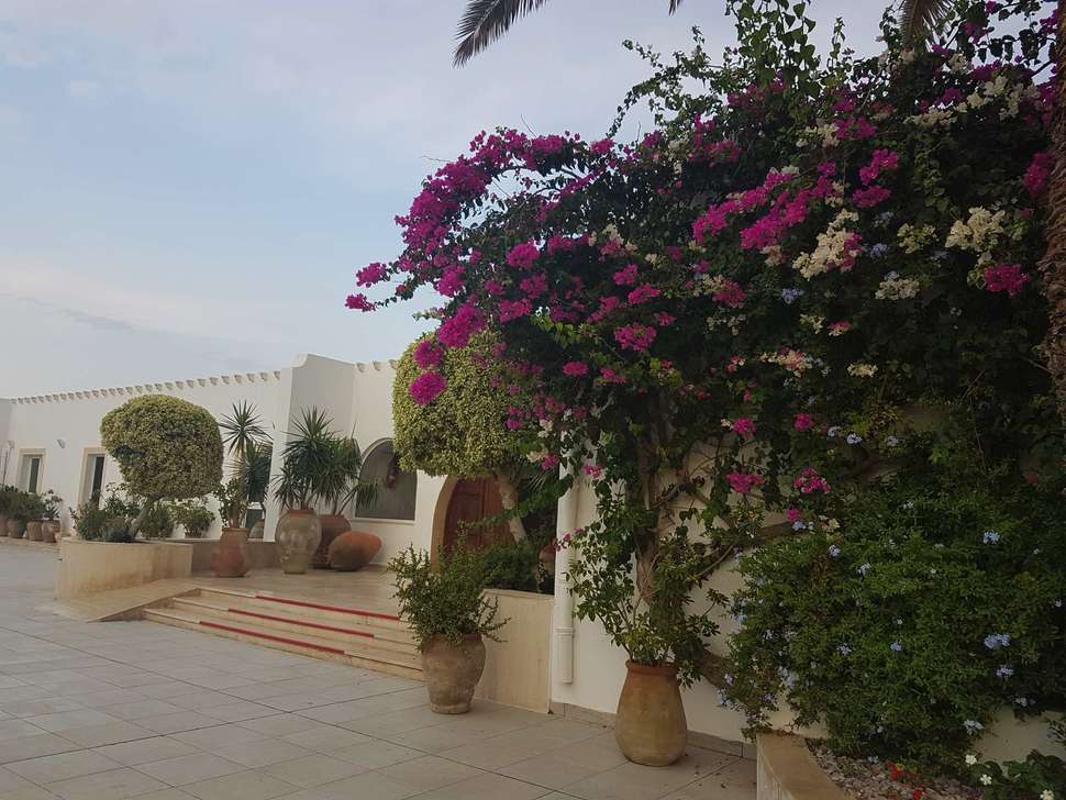 Een foto van Club Salammbo Hammamet