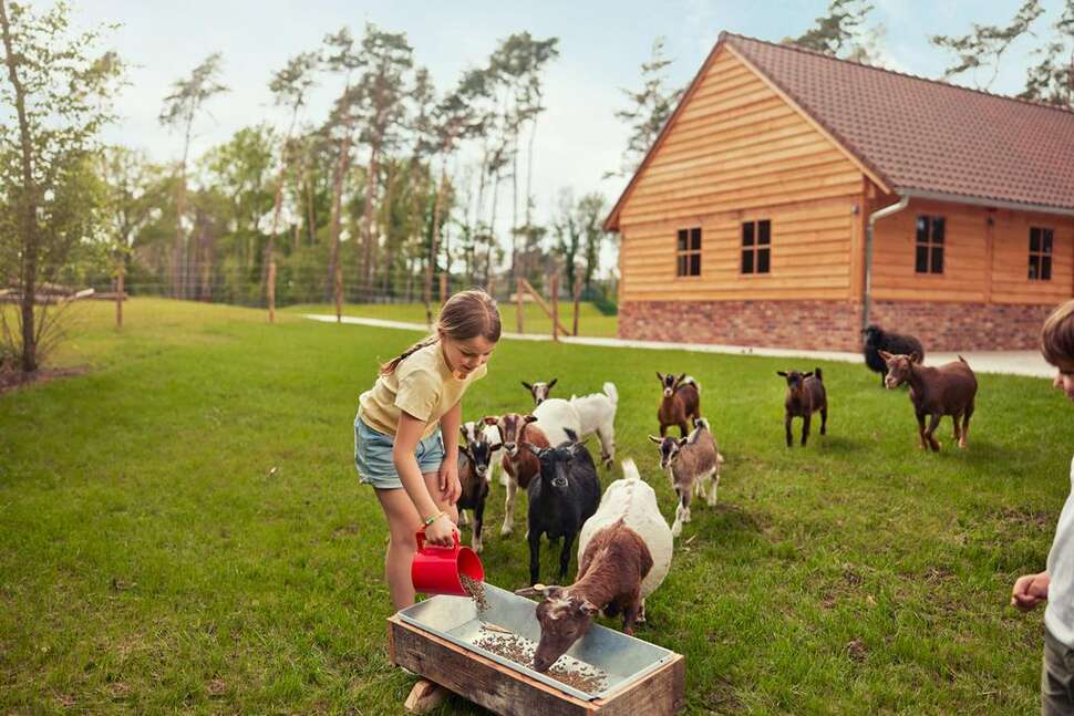 Een foto van Terhills Resort
