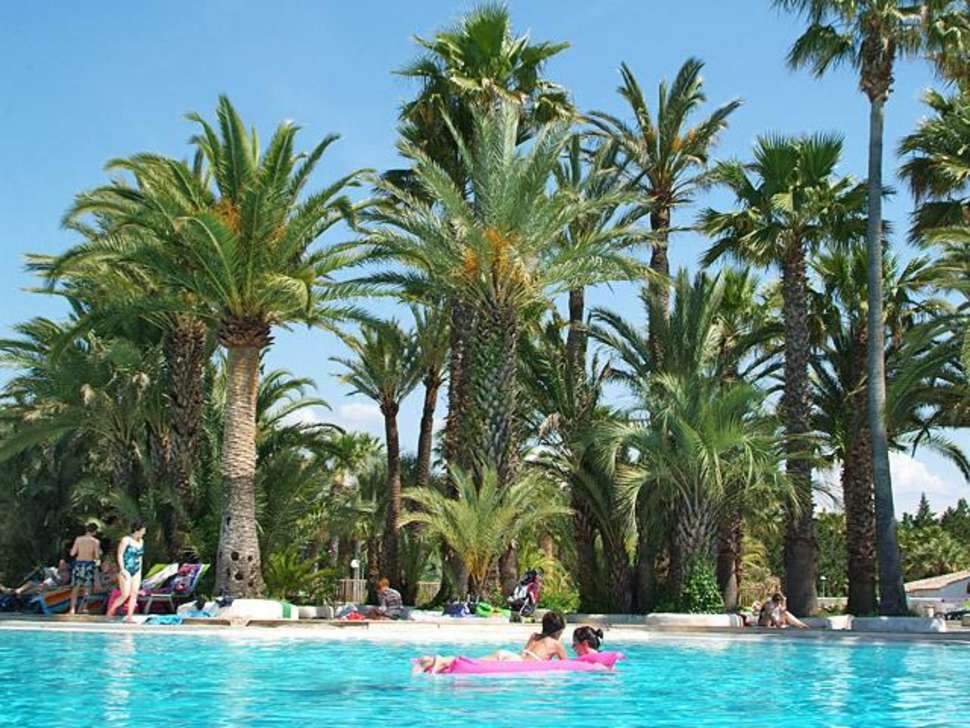 Een foto van het zwembad bij Camping La Baume - La Palmeraie