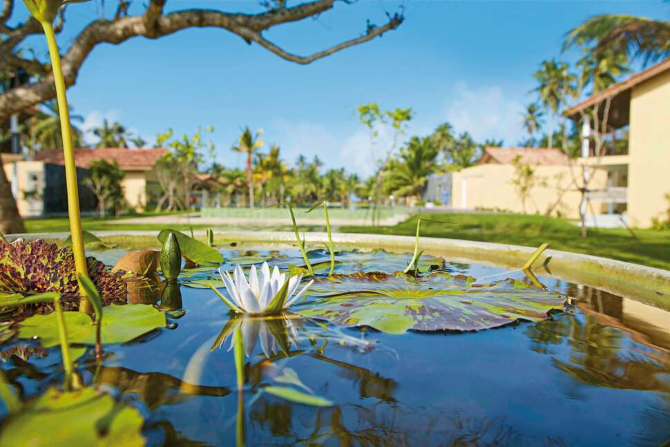 Een foto van The Villas Wadduwa