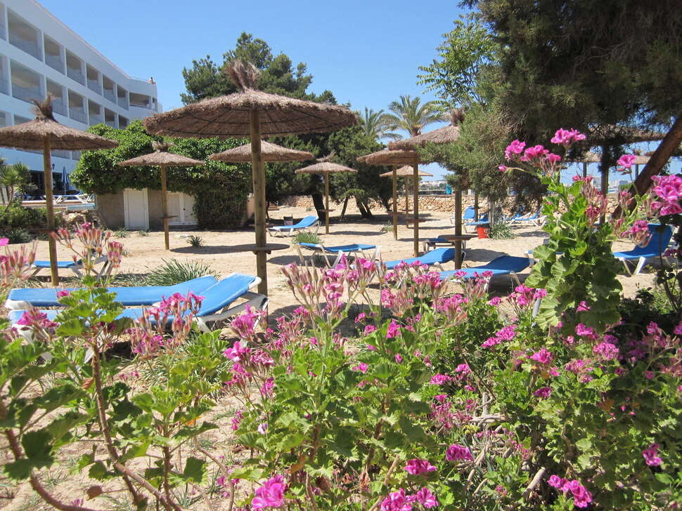 Een foto van het terras bij Ses Savines Hotel