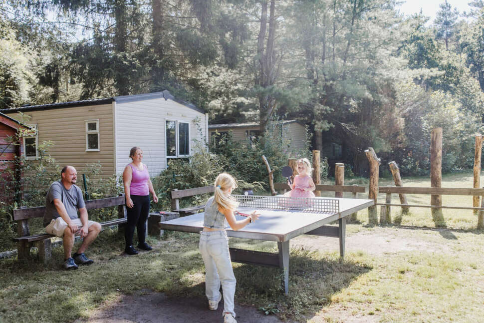 Een foto van Camping Siesta