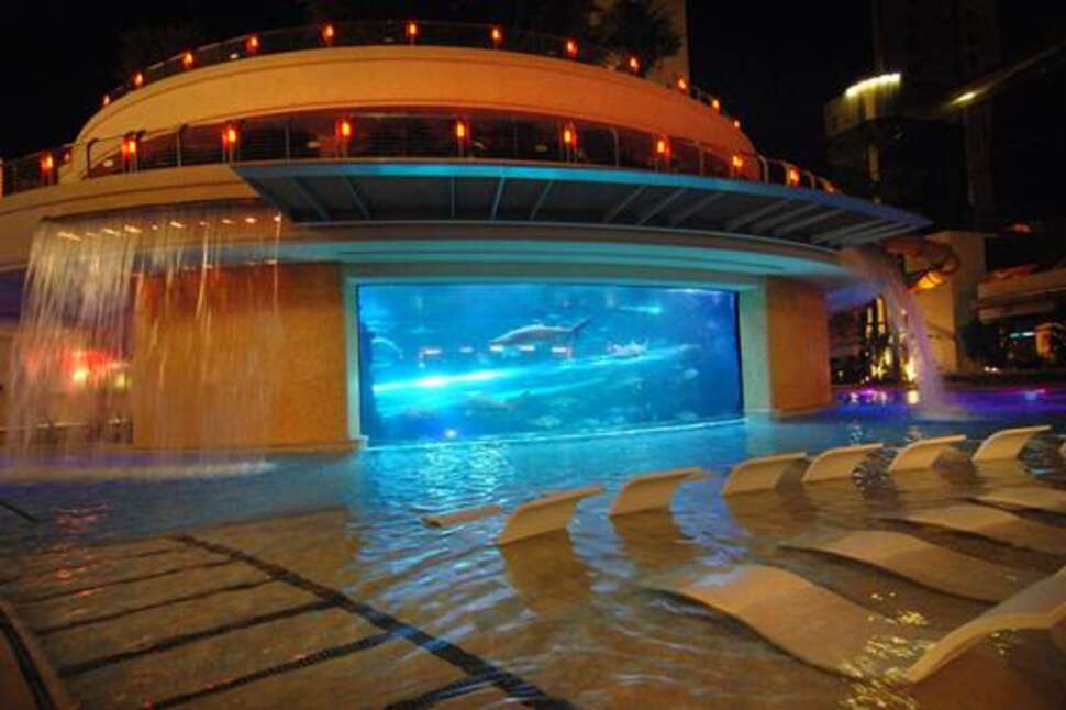 Een foto van Hotel Golden Nugget Las Vegas