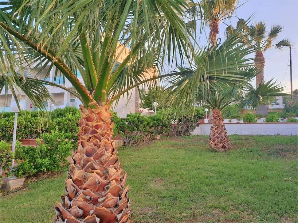 Een foto van Saradari Beach Hotel