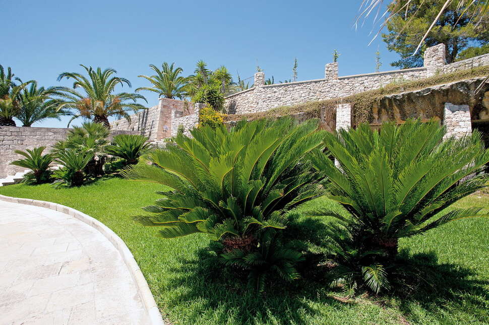 Ein Foto Masseria Panareo