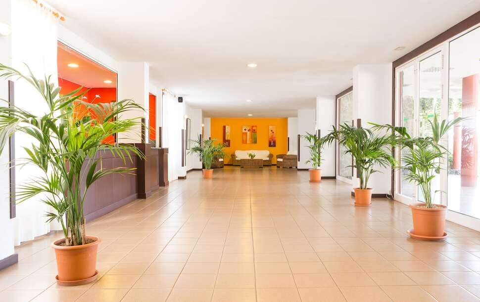 Ein Foto vom Innenbereich im Apartments Centro Cancajos