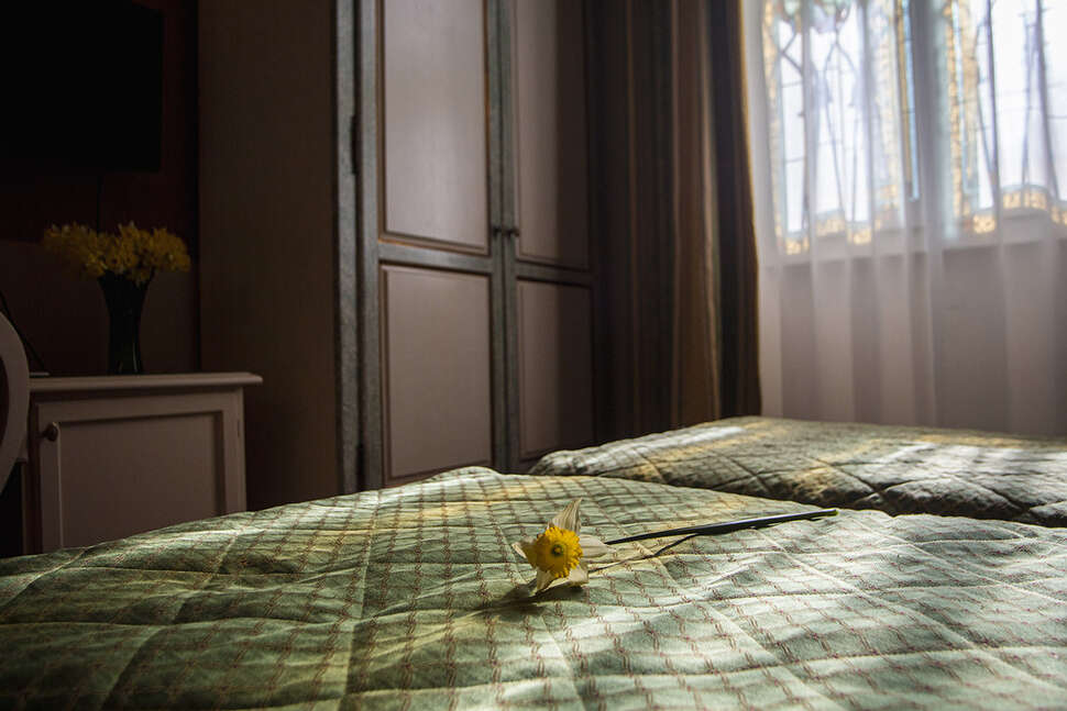 Een foto van Hotel Donatello Florence