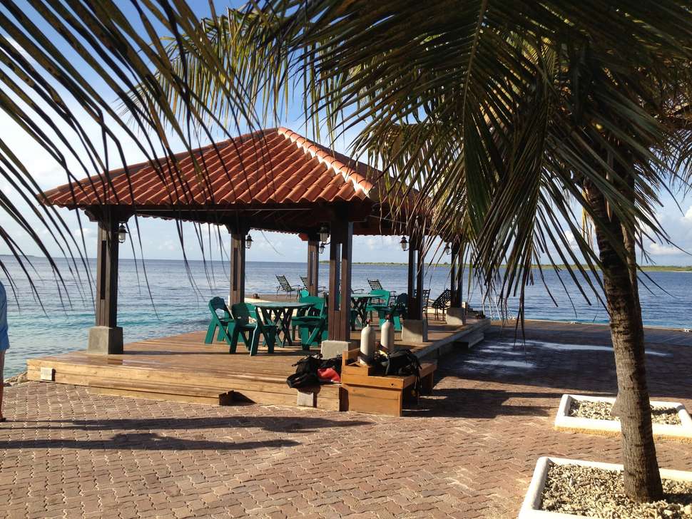 Een foto van de faciliteiten bij Harbour Village Beach Club