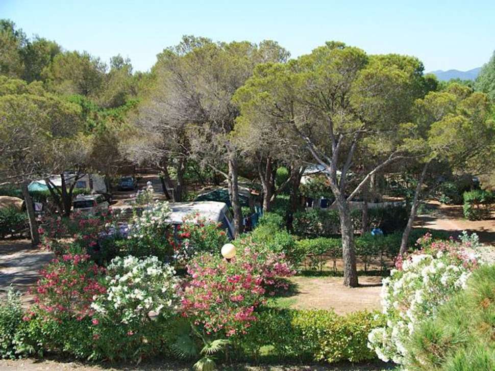 Een foto van de buitenkant van Camping La Baume - La Palmeraie