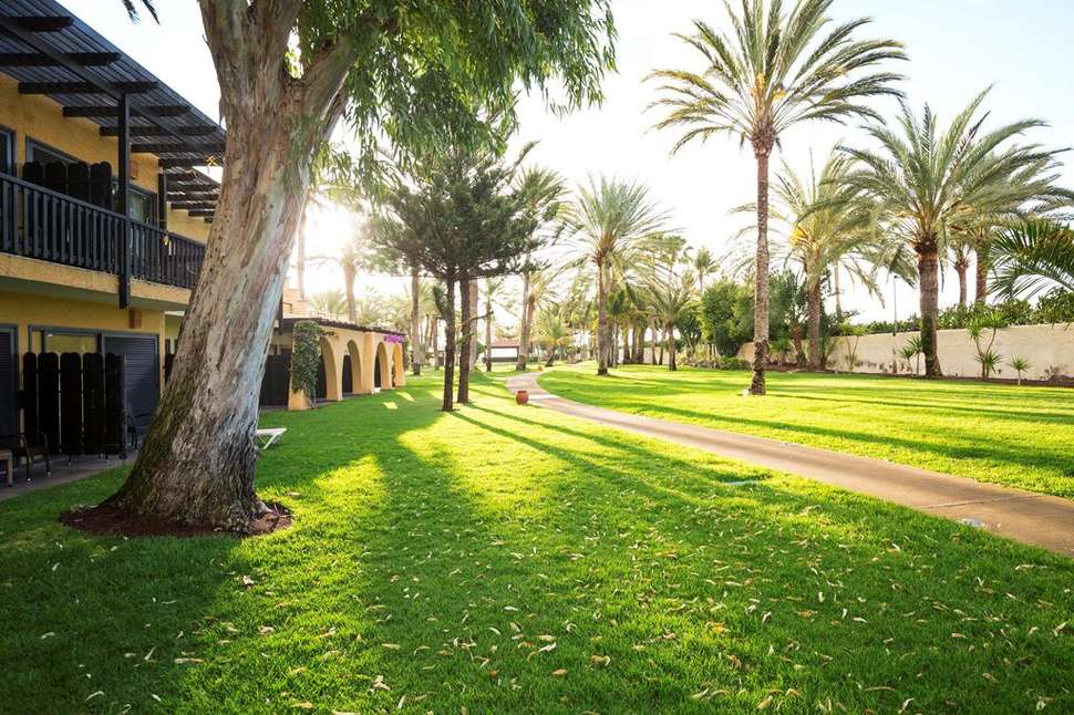 Een foto van het terras bij Robinson Club Jandia Playa