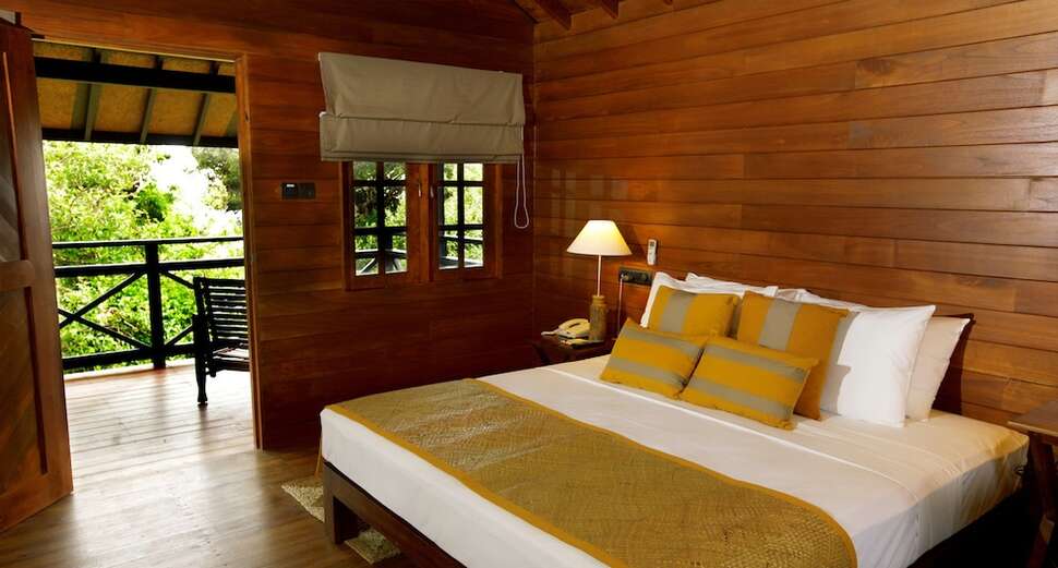 Ein Foto Cinnamon Wild Yala