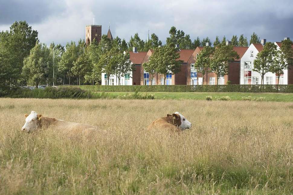 Een foto van Ribe Byferie