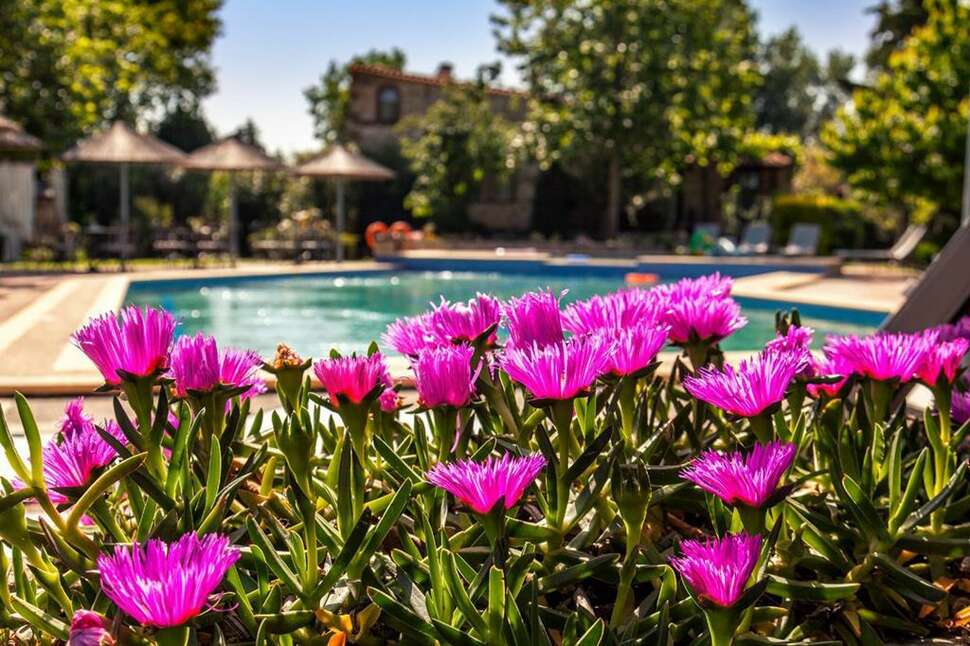 Ein Foto vom Pool im Petrino Eco Village