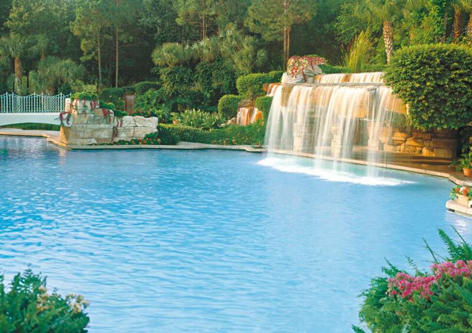 Een foto van Walt Disney World Swan