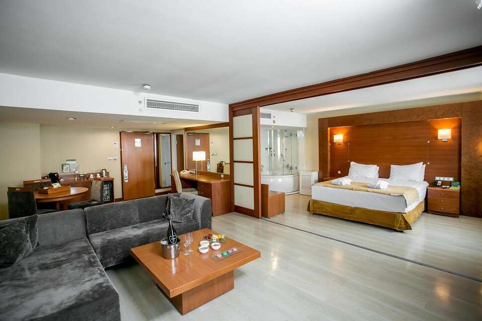 Een foto van Holiday Inn Istanbul City