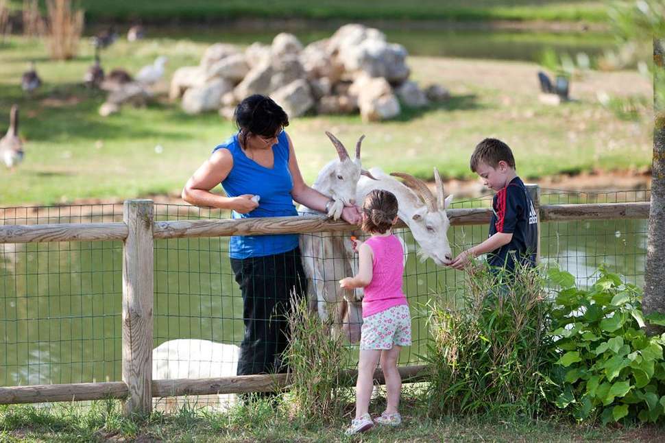 Een foto van Camping Sequoia Parc