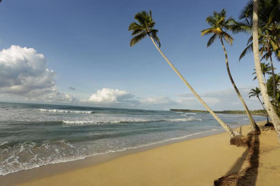 Een foto van Viva Wyndham V Samana
