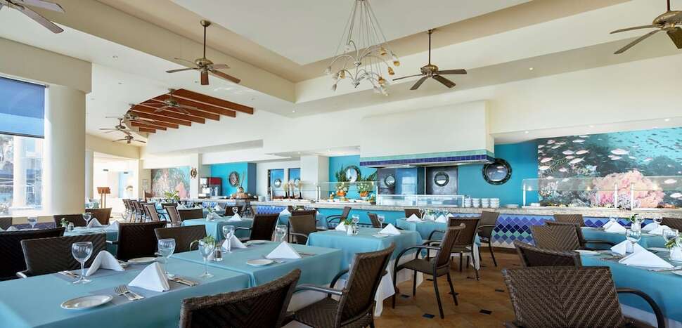 Een foto van Occidental Tucancun