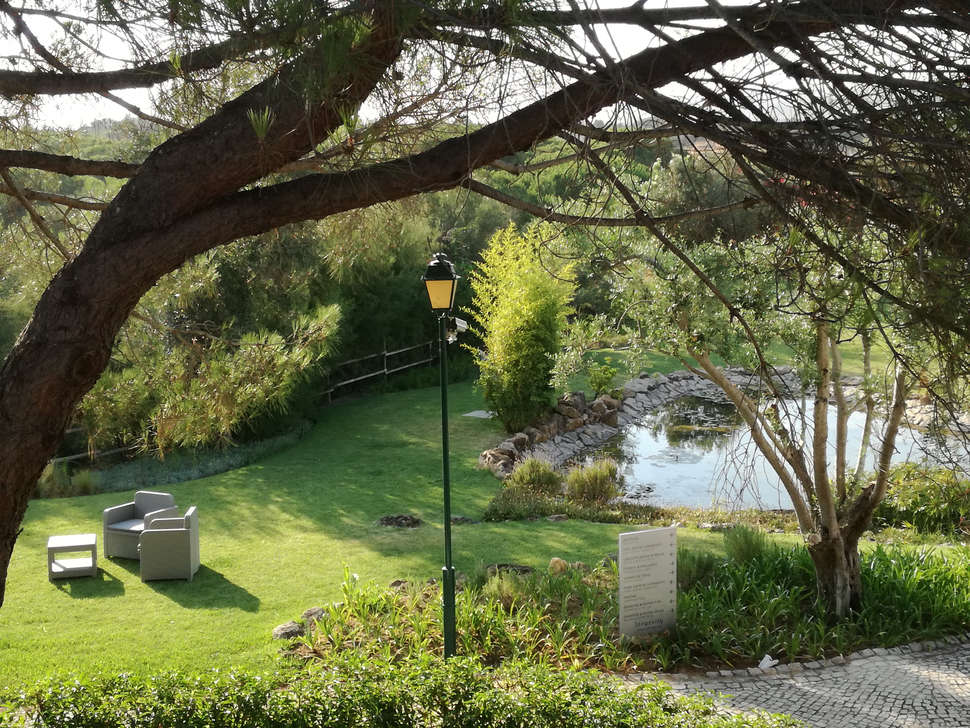 Een foto van het terras bij Longevity Cegonha Country Club