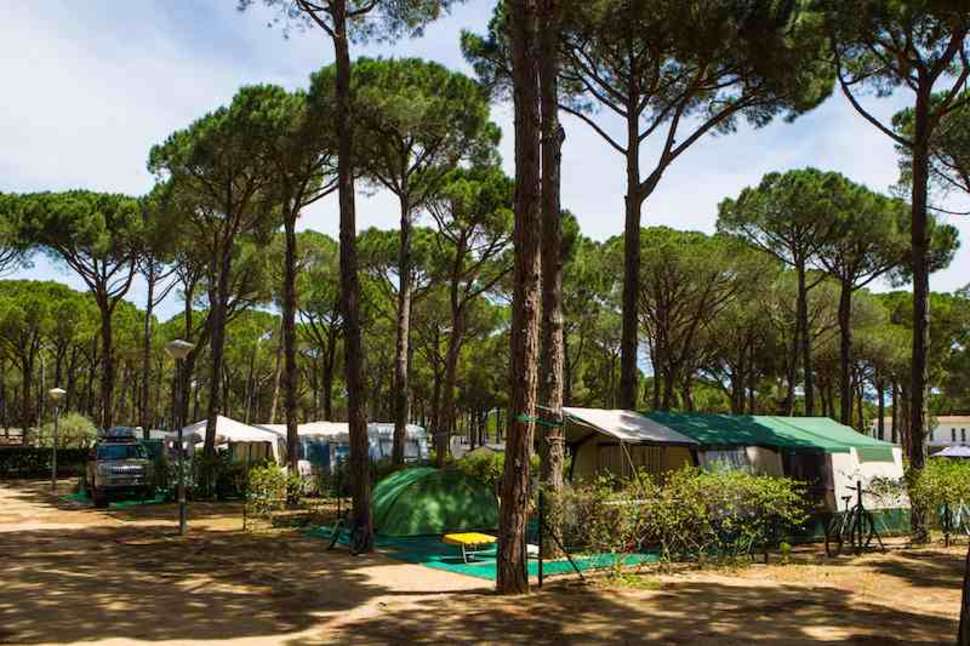Een foto van Cypsela Resort
