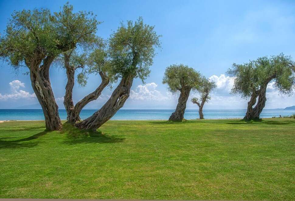 Een foto van het terras bij Domes Miramare