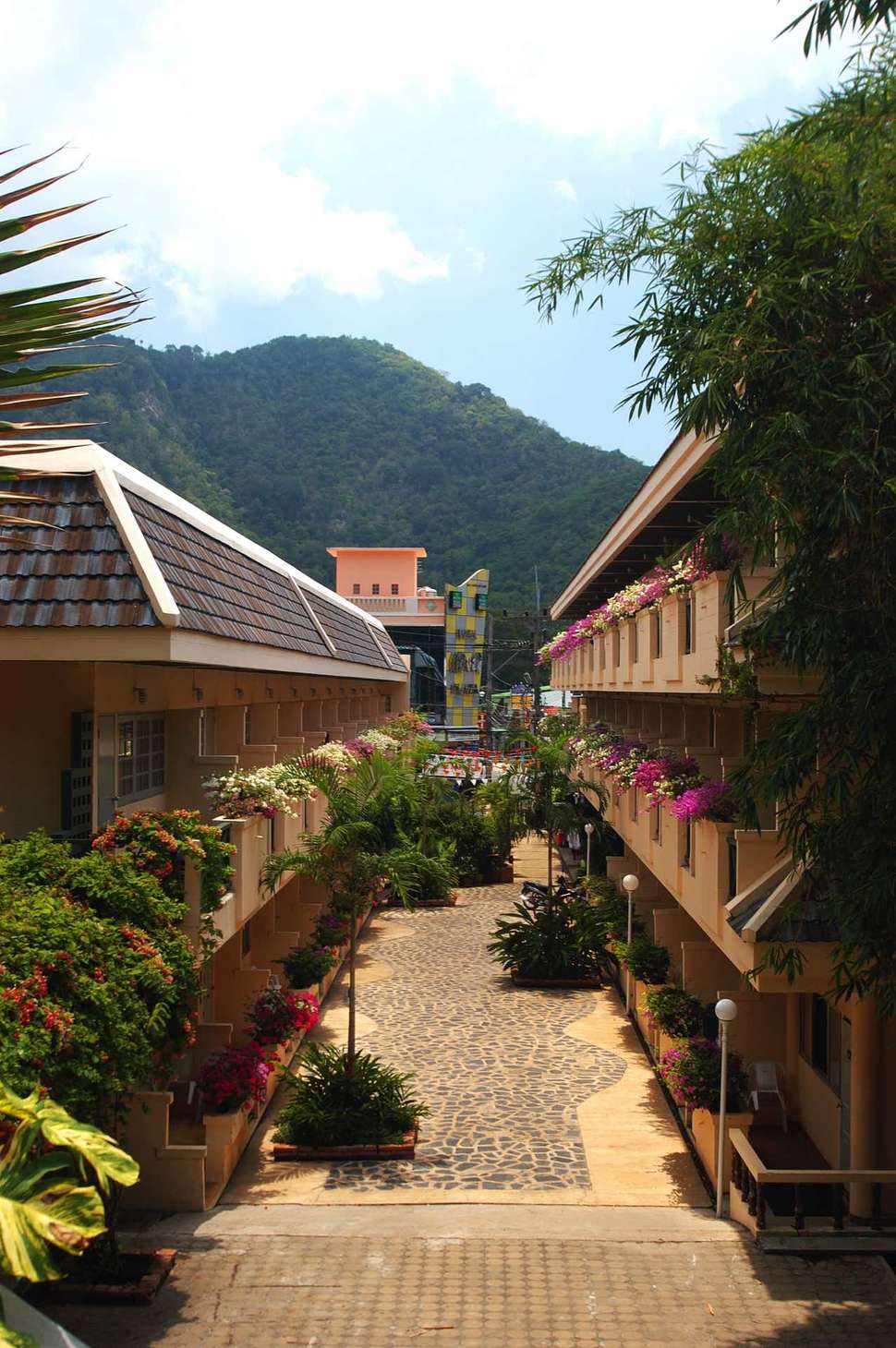 Een foto van Peach Hill Resort