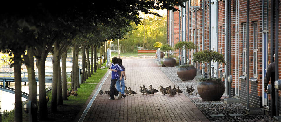 Een foto van Ribe Byferie