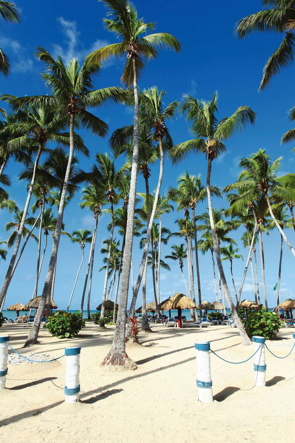 Een foto van Grand Bahia Principe La Romana