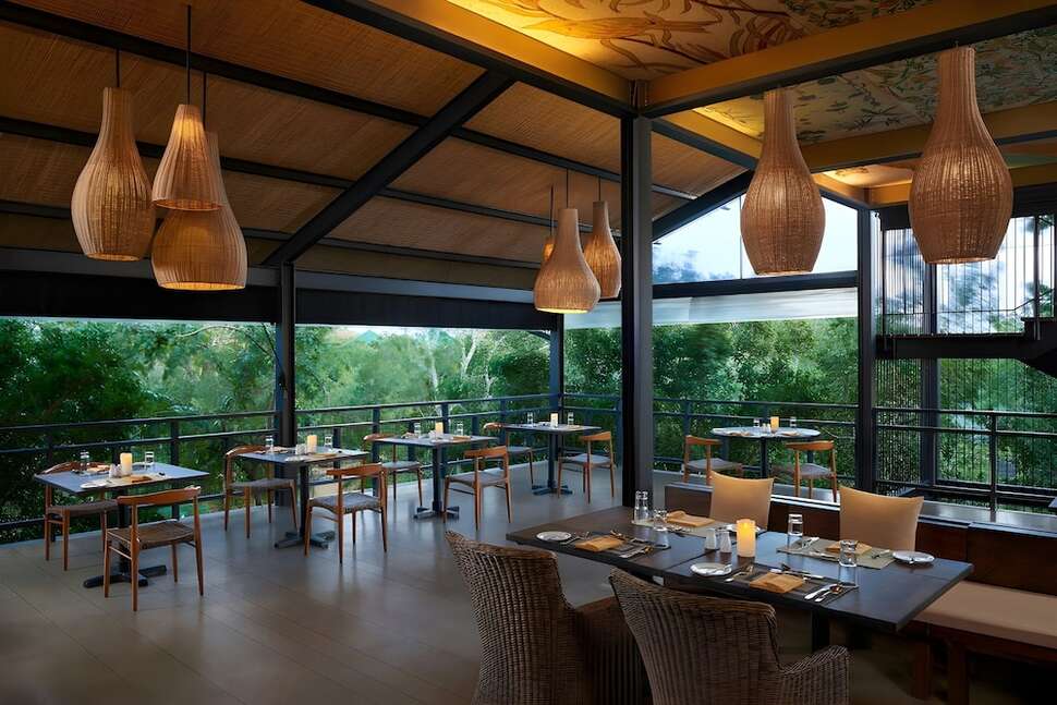 Ein Foto Cinnamon Wild Yala
