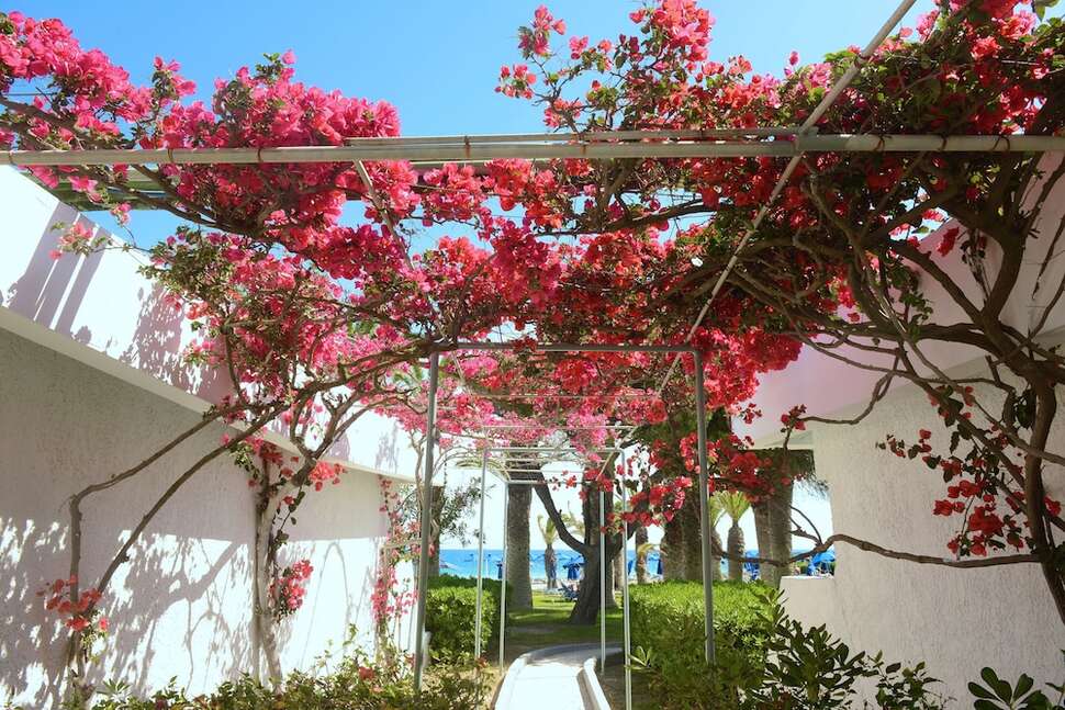 Een foto van de buitenkant van Blue Horizon Resort Hotel