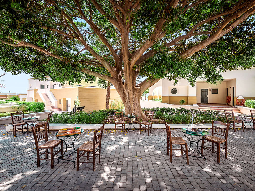 Ein Foto von den Einrichtungen im Mitsis Rodos Maris Resort & Spa