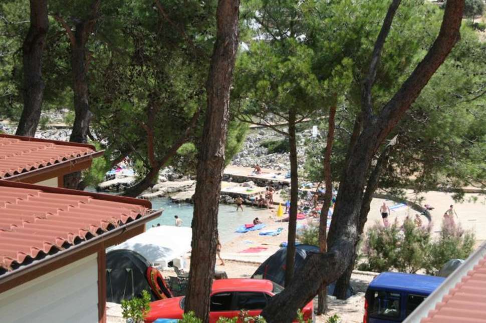 Een foto van Camping Poljana