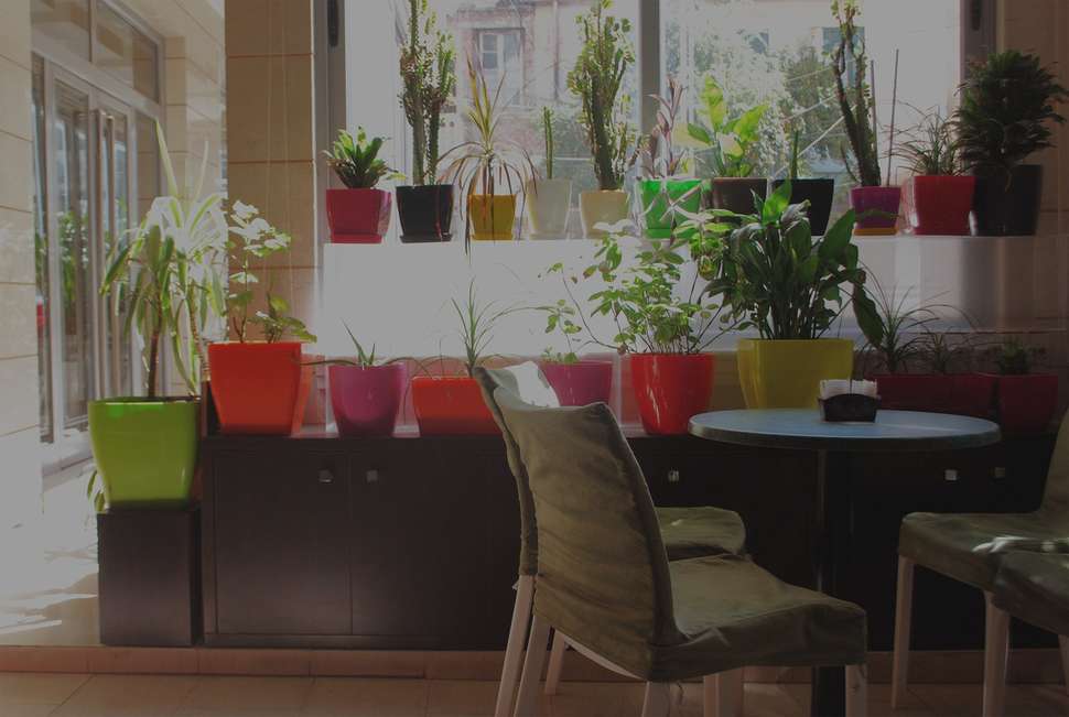 Een foto van Hotel Comfort