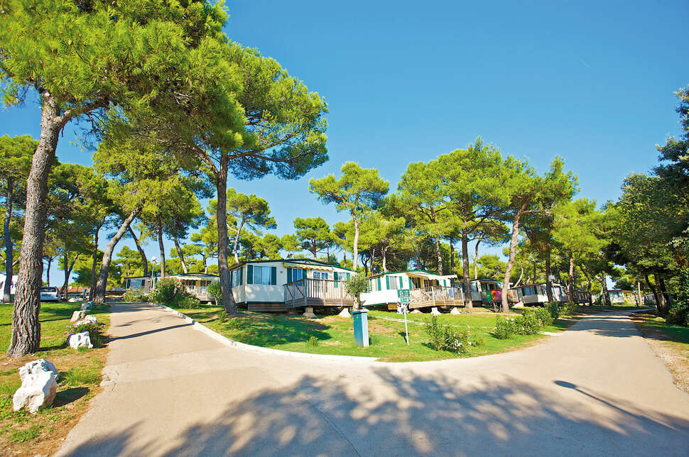 Ein Foto Arena Indije Campsite
