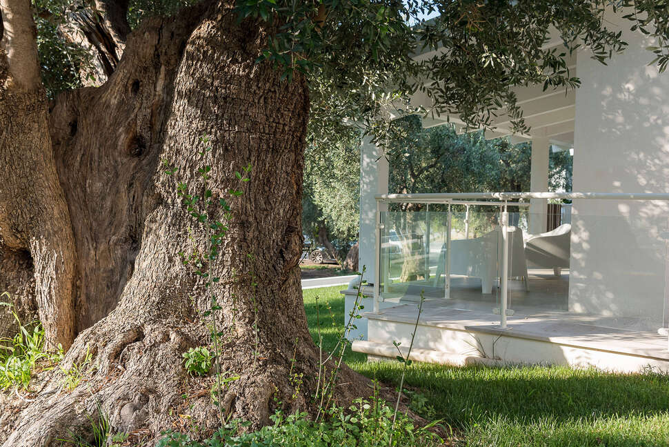 Een foto van Agriturismo Giorgio