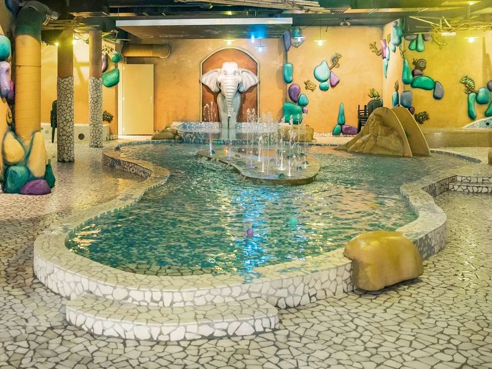 Een foto van het zwembad bij Center Parcs Les Ardennes