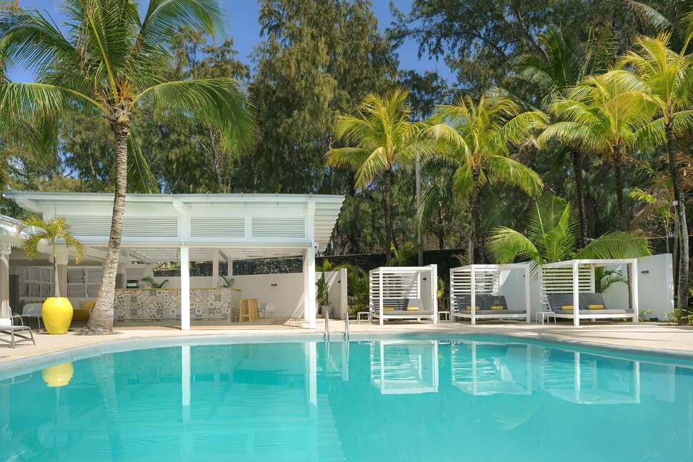 Ein Foto Tropical Attitude
