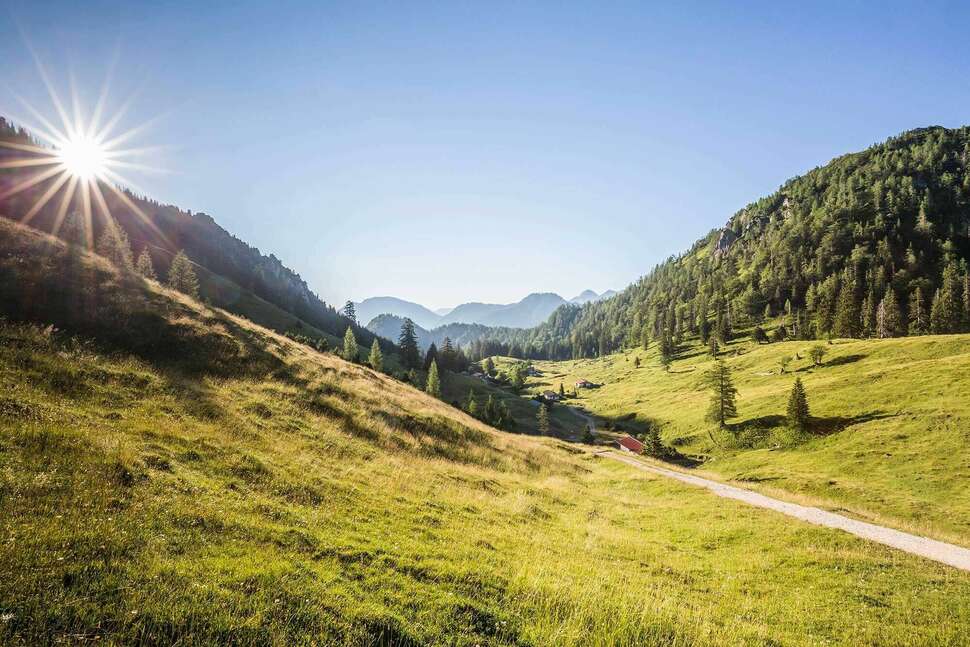 Een foto van Das Falkenstein