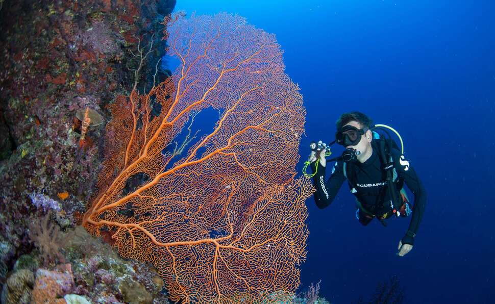 Een foto van Grand Park Kodhipparu Maldives